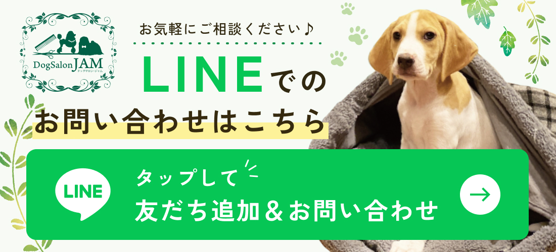 公式LINE
